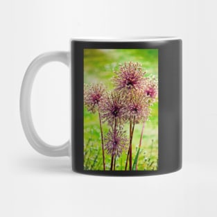 Allium flowers Mug